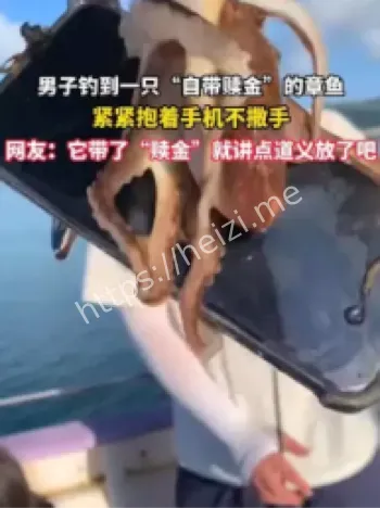 福建海钓抱着手机八爪鱼